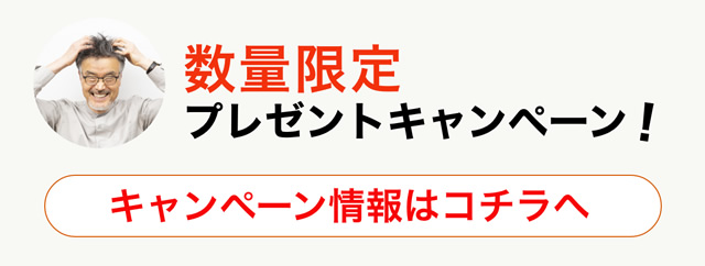 数量限定 プレゼントキャンペーン！