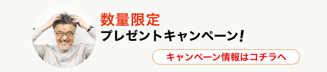 数量限定 プレゼントキャンペーン！